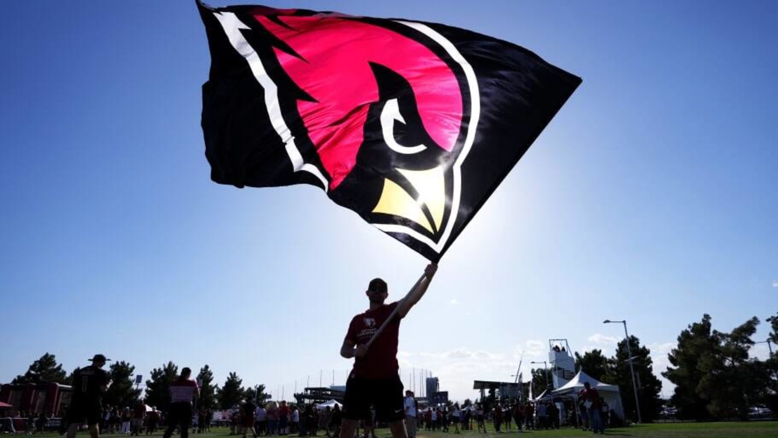 Cardinals Announce Partnership For Luxury Seating