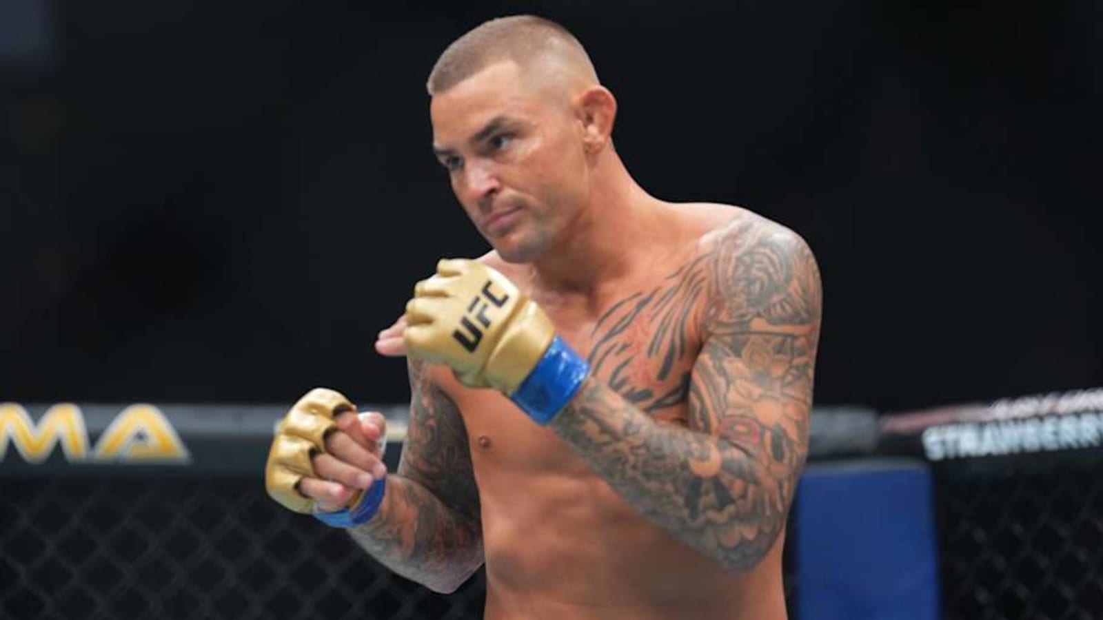 Dustin Poirier Thinks UFC 308 Fighter Earns Title Shot With Win