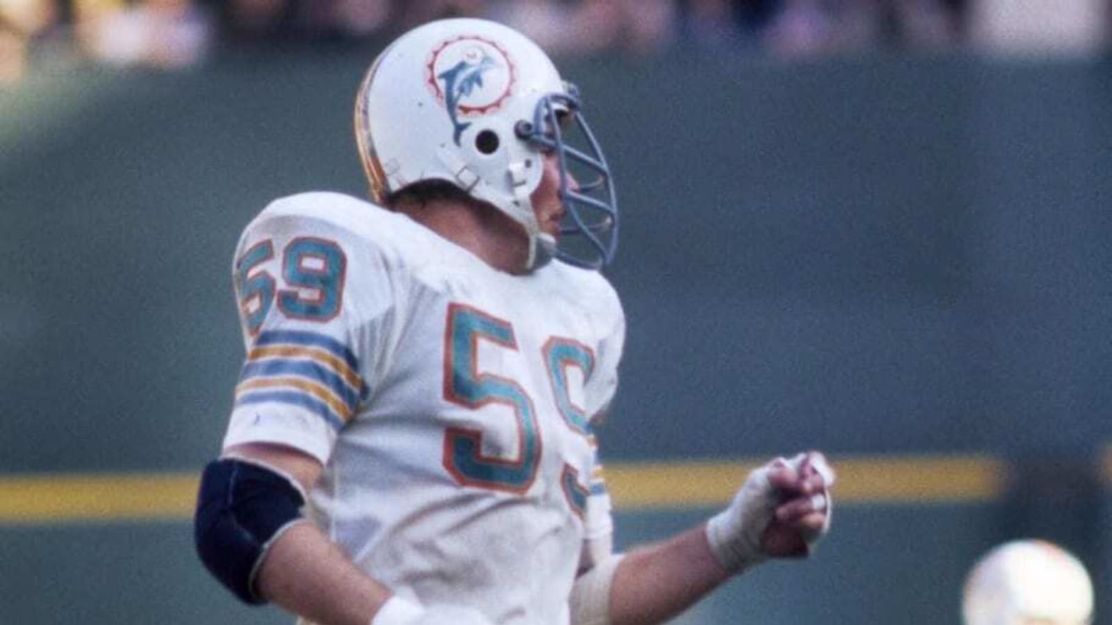 Number 59 and the Three Who Wore It Best for the Dolphins
