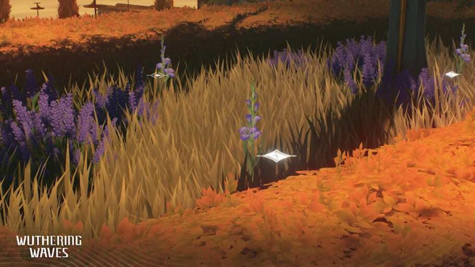 Wuthering Waves Sword Acorus locations: Where to find the material