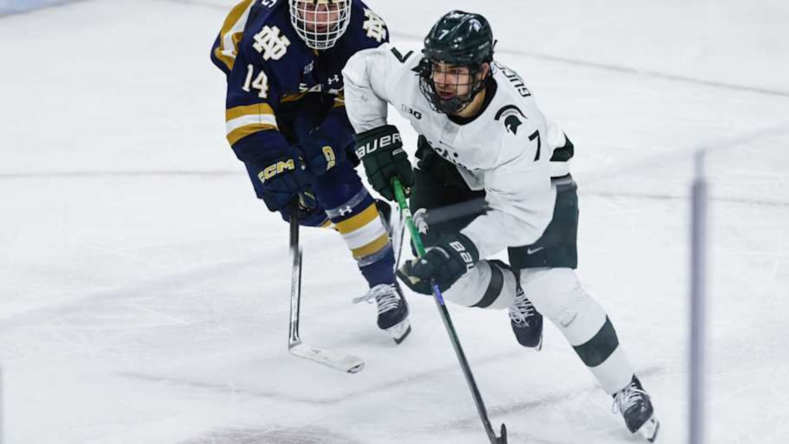 Former Spartan Gucciardi Scores in Pro Debut