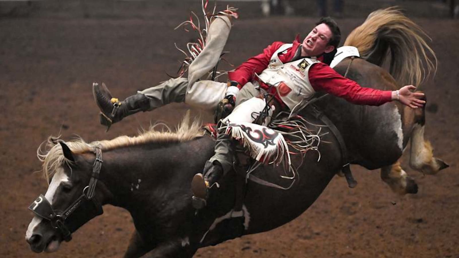 Meet RODEOHOUSTON Super Series II Champion Bareback Rider Cole Franks