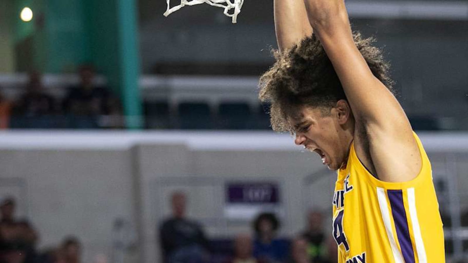 Hornets add to frontcourt depth in latest 2025 NBA mock draft