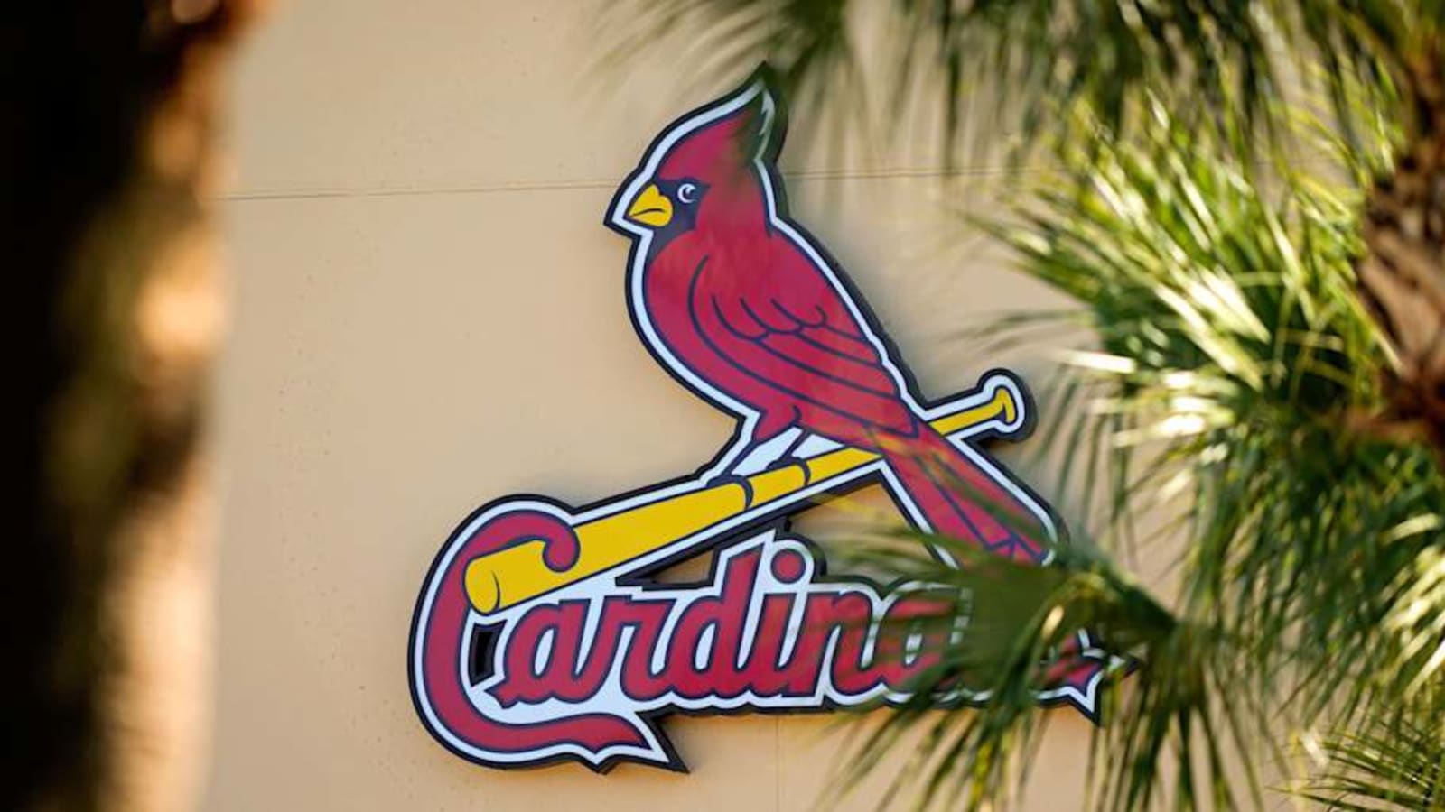 Cardinals Slugger Gives Important Injury Update After Scare