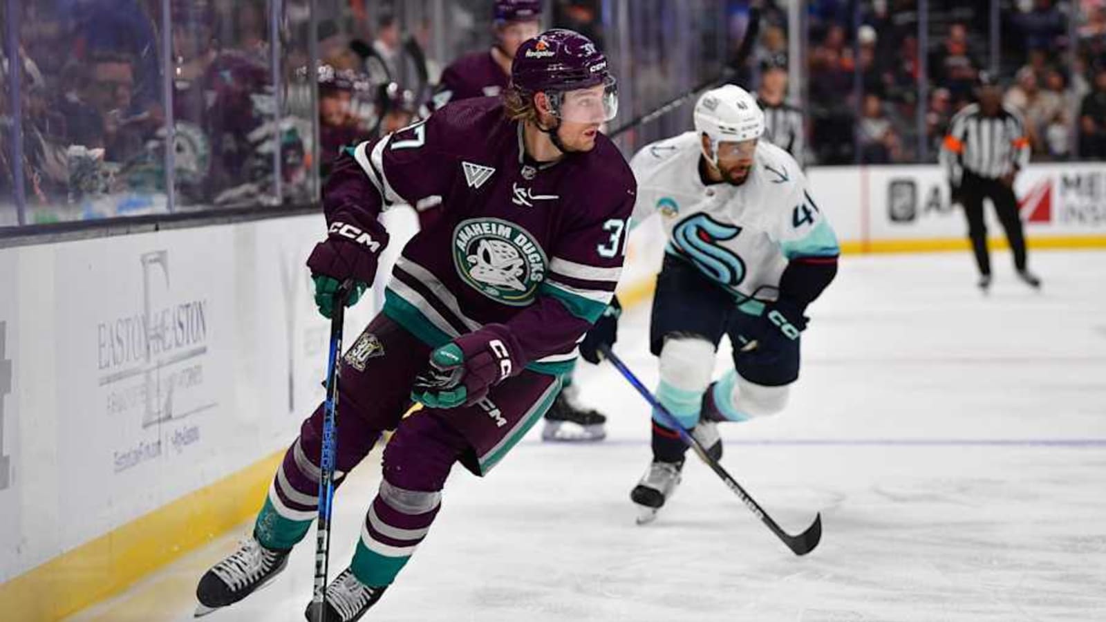 AHL Players Involved in Wild Fight
