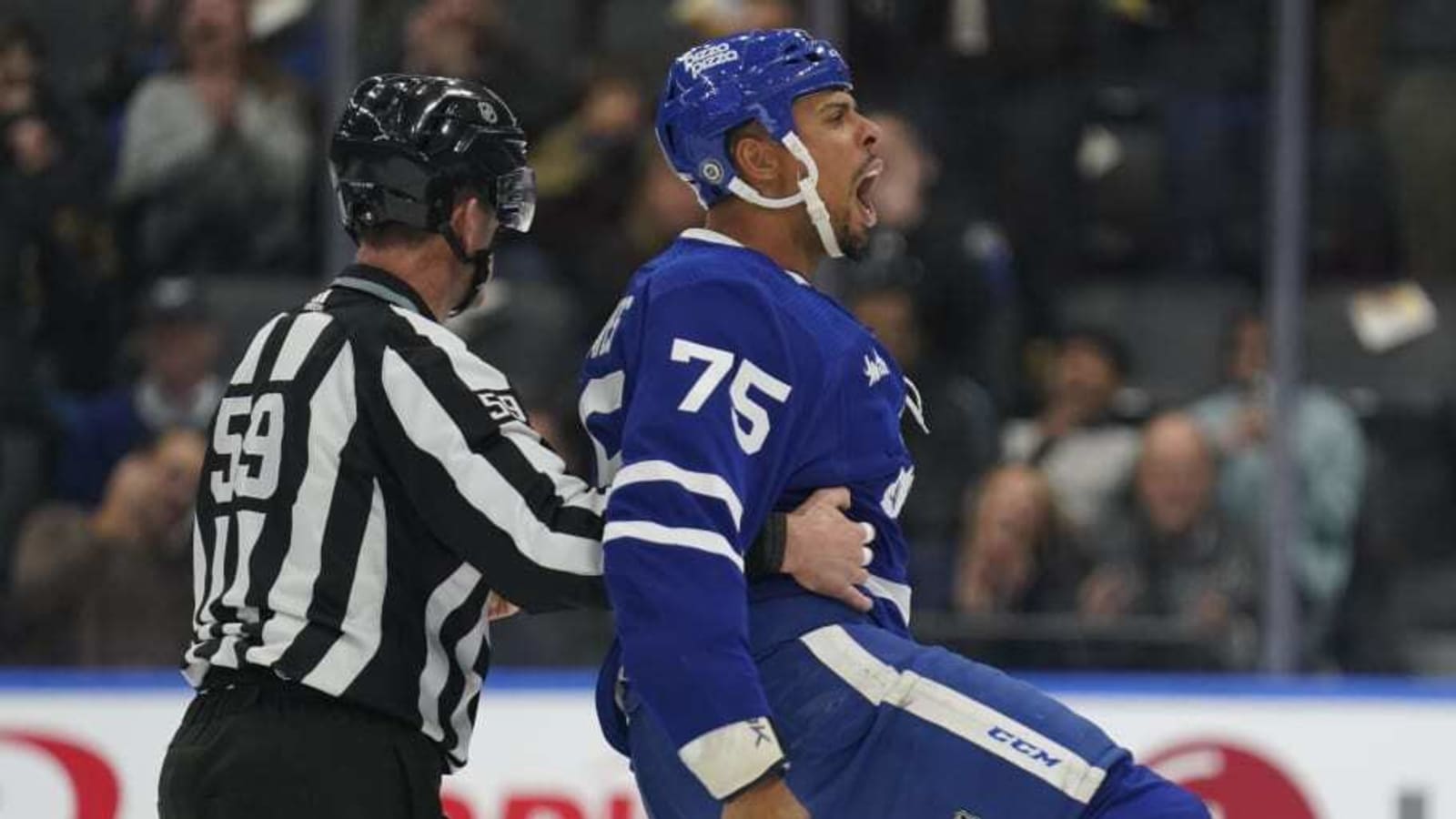 Maple Leafs Forward Named NHL&#39;s Top Tough Guy