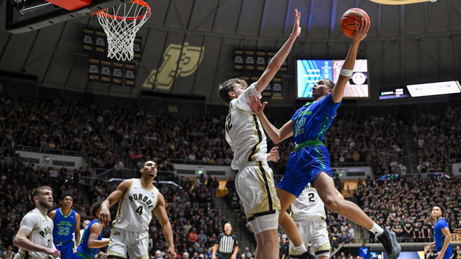Purdue Freshman Center Daniel Jacobsen Suffers Injury vs. Northern Kentucky