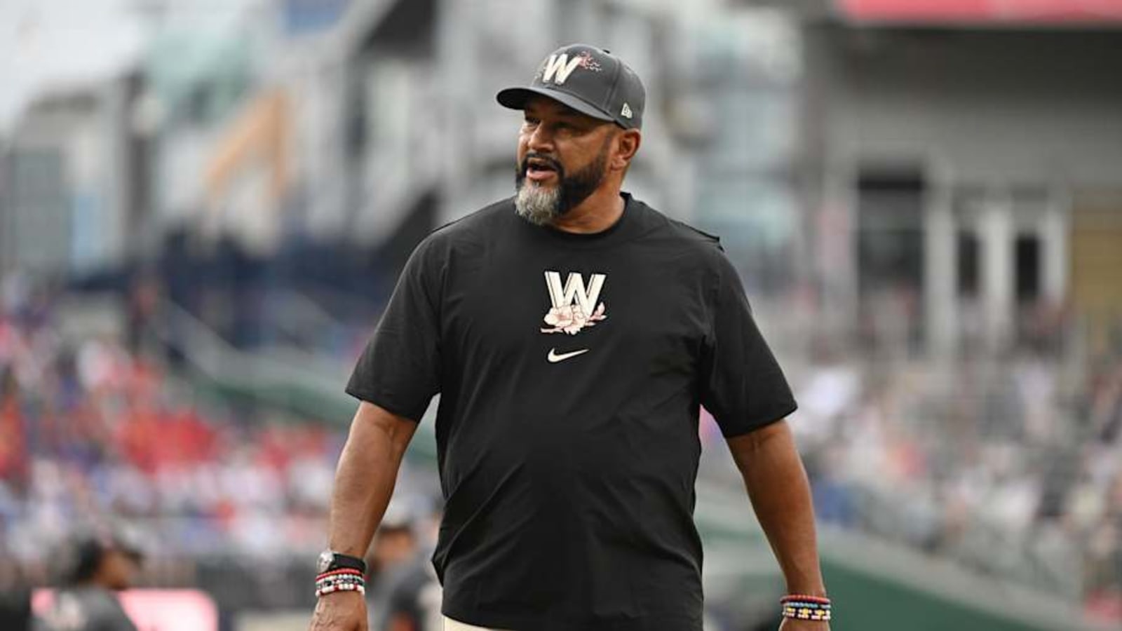 Washington Nationals Spring Training Schedule Features 16 Home Games