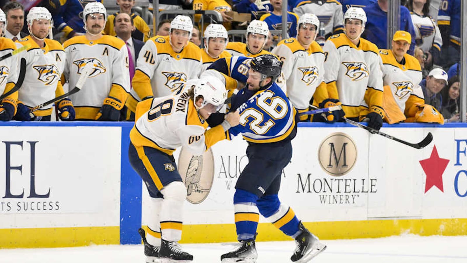 Predators Eliminated From Postseason Contention