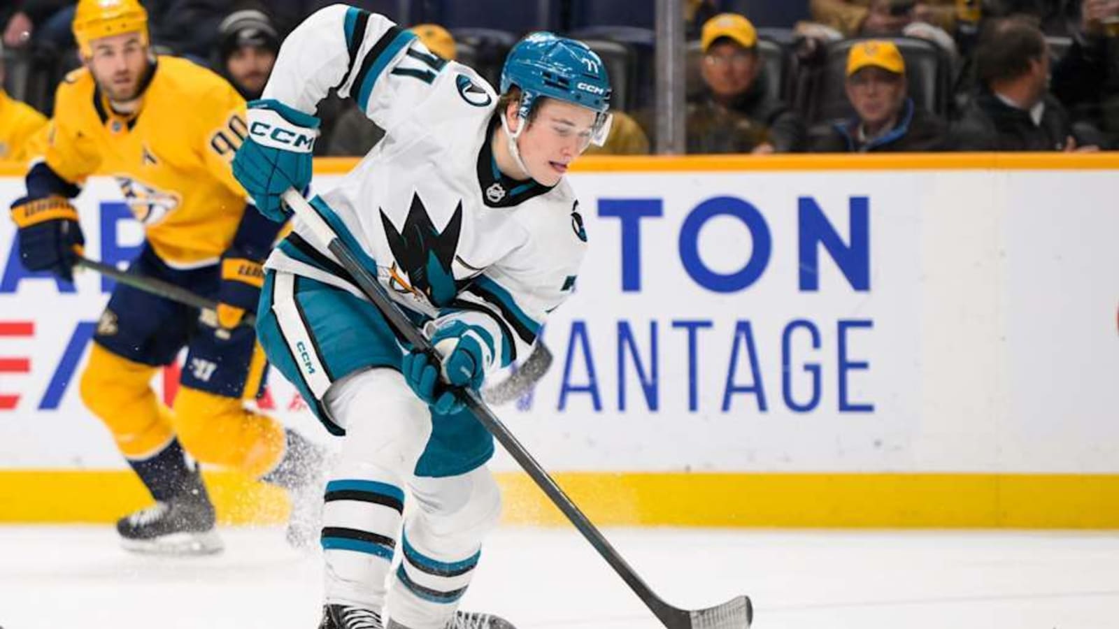 NHL Lessons Learned: Baby Sharks Learning to Swim