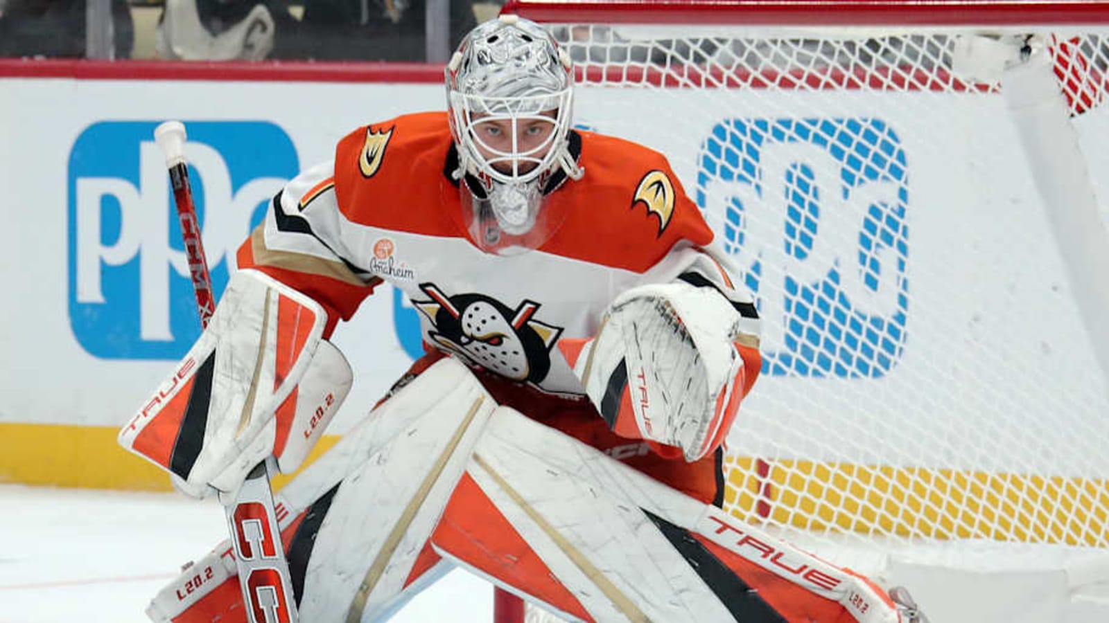 Promising Ducks Goalie Steals Starting Job
