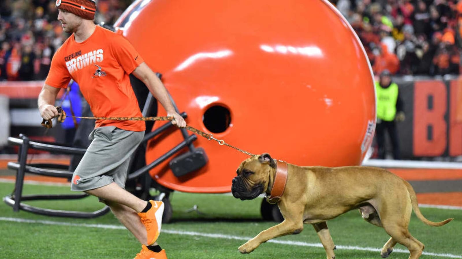 PETA sends Browns stern message asking to end use of live mascots