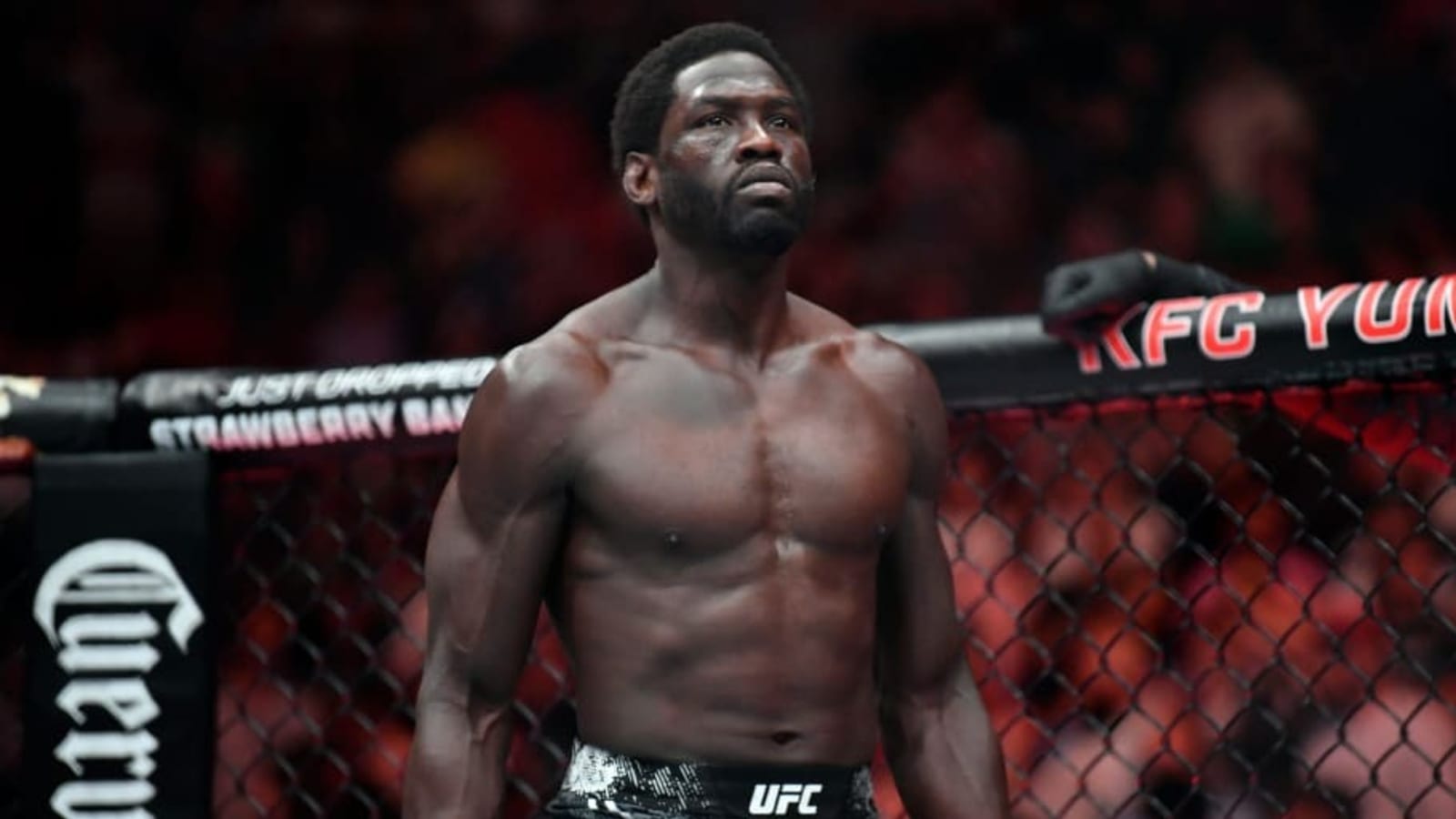 UFC Fight Night: Jared Cannonier vs. Caio Borralho Full Card Odds & Best Bets