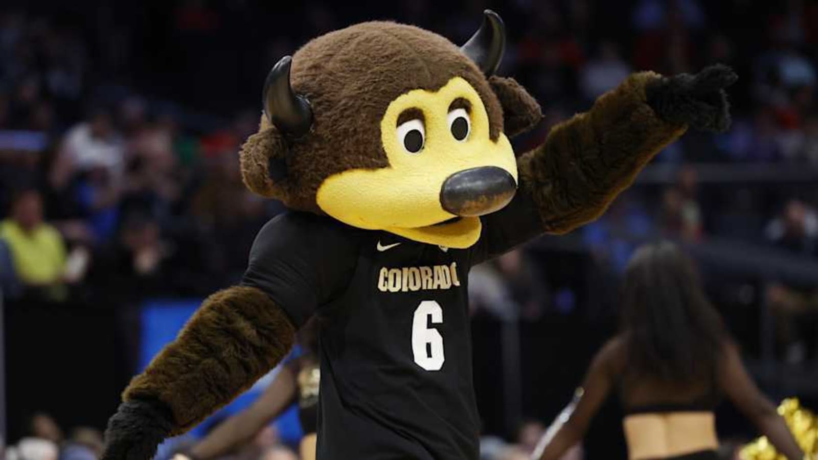 Colorado Buffaloes Men&#39;s Basketball 2024-25 Schedule, Times, TV and Tickets