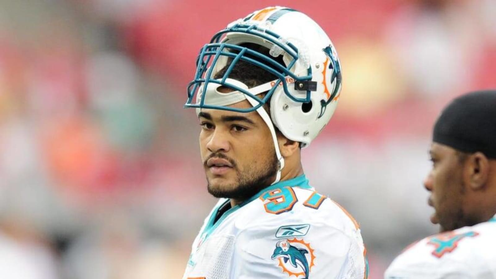 Number 97 and the Three Dolphins Who Wore It Best
