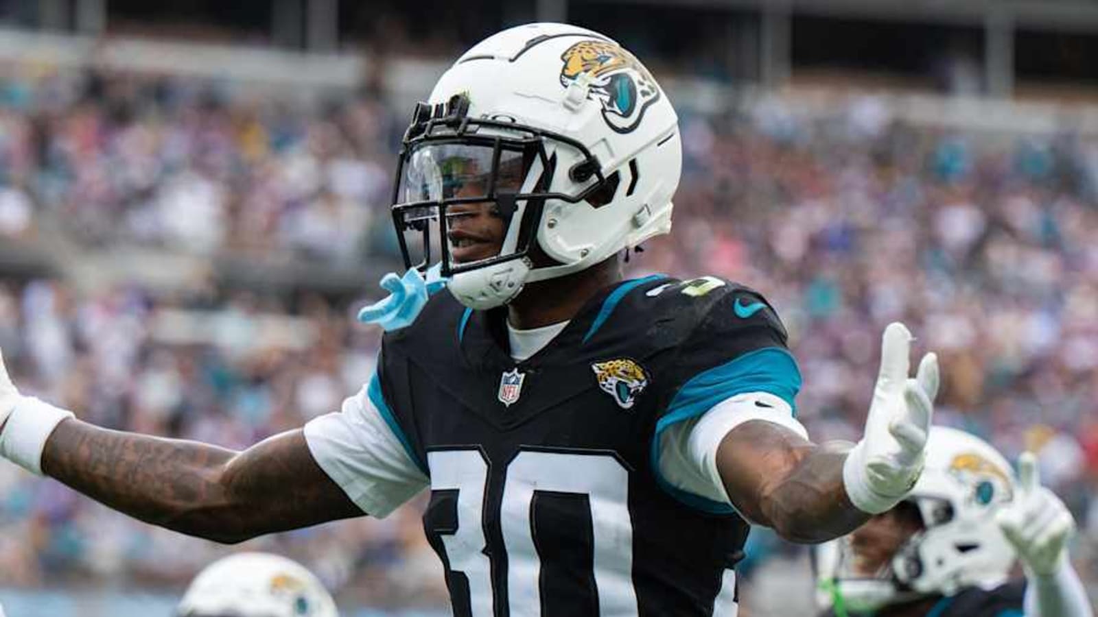 Are We Overestimating This Supposed Need for Jaguars?