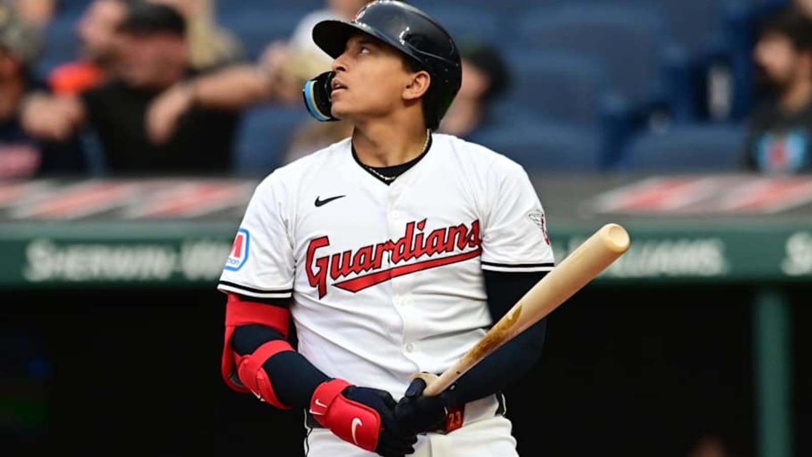 Cleveland Guardians Veteran Makes Bold Claim About Bo Naylor