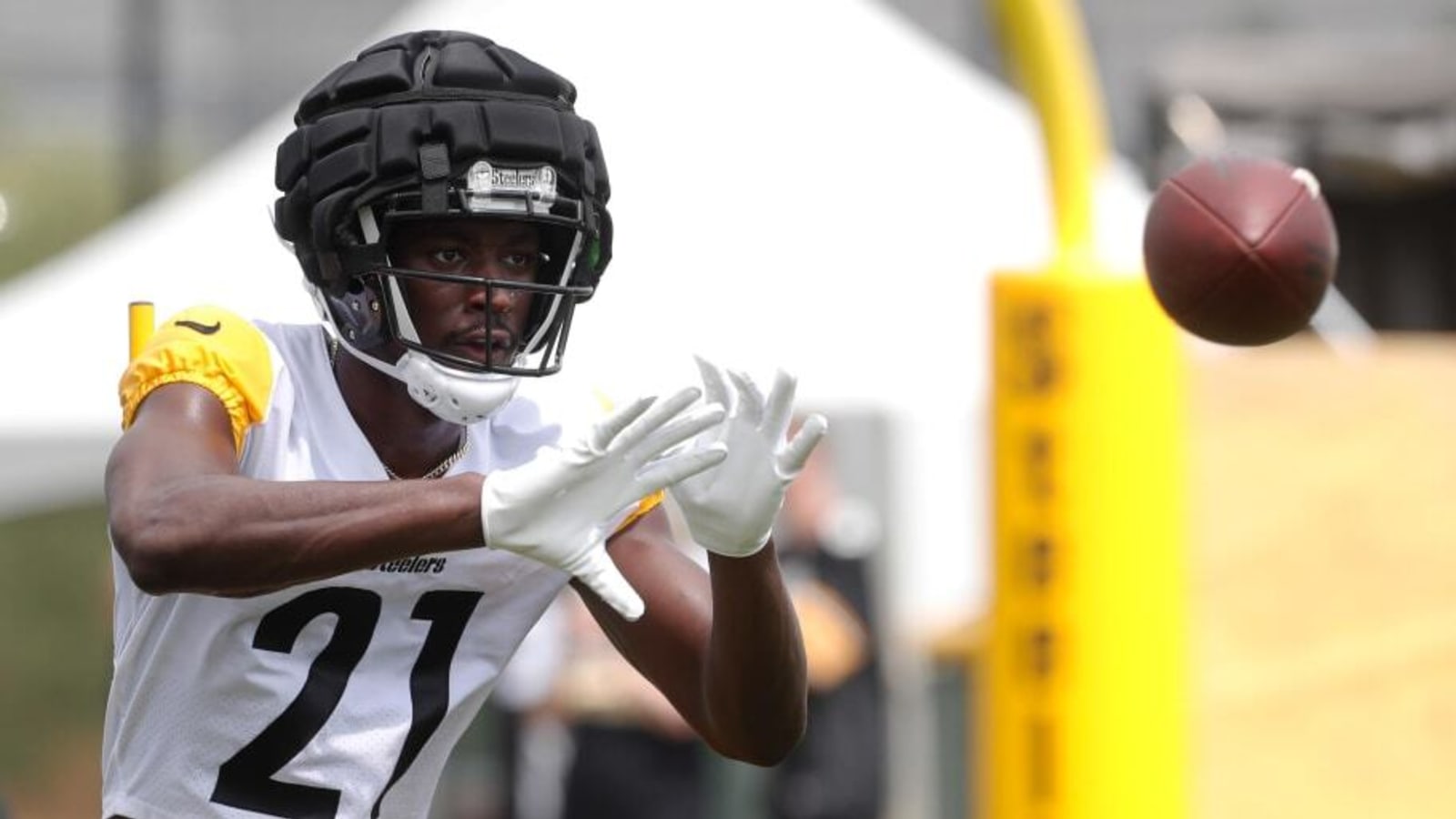 Bengals Cut Former Steelers WR