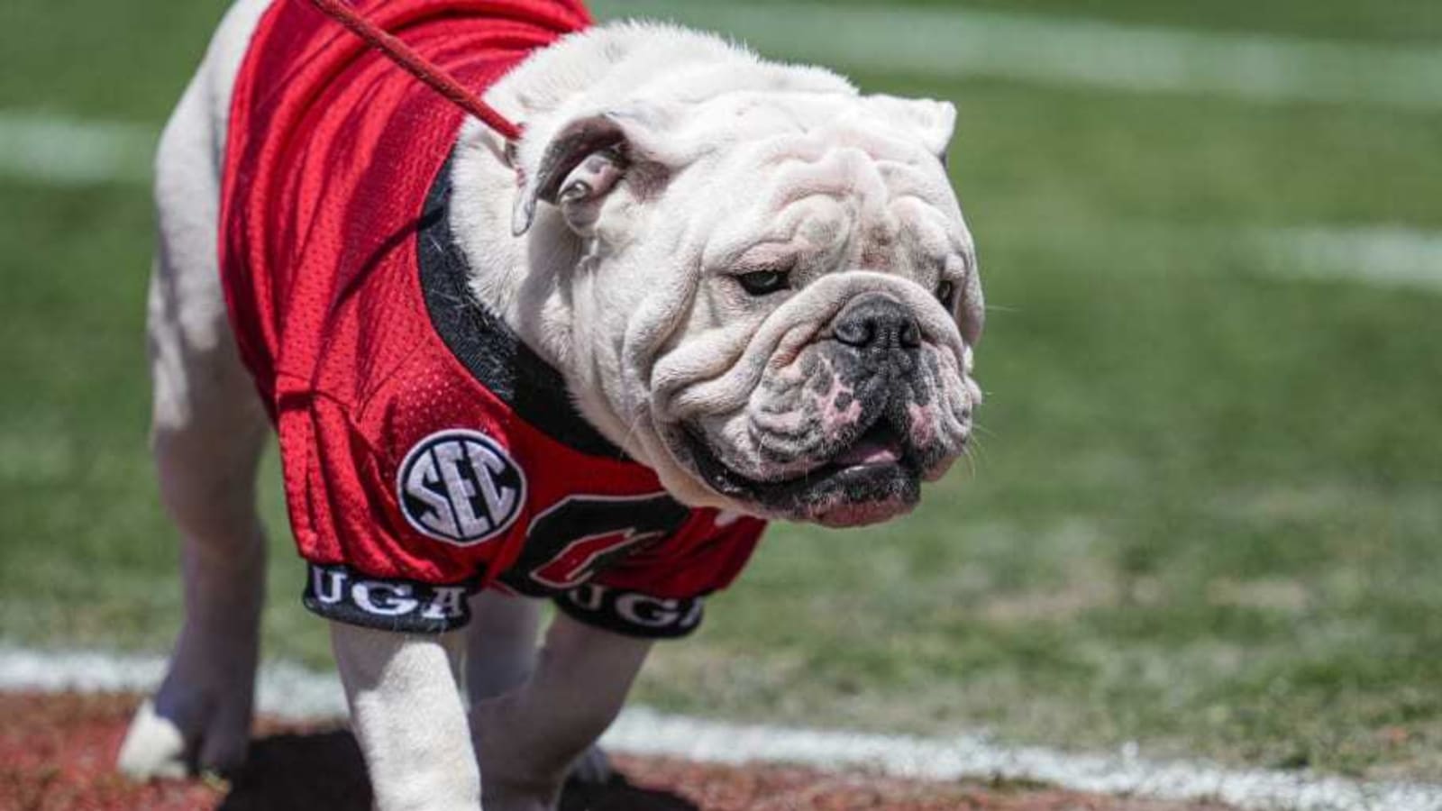 The Last Time Georgia Football Played Tennessee Tech