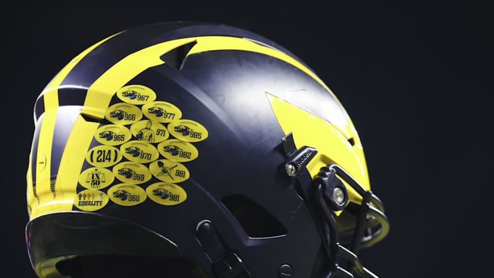Two former Michigan Football linebackers reunite at new destination