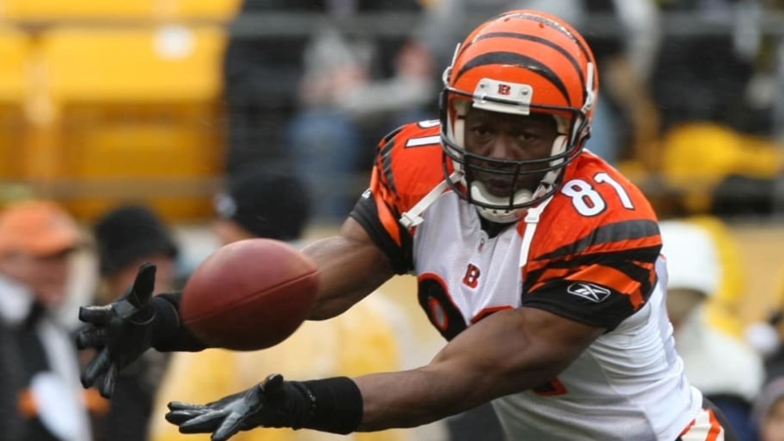 Former Bengals Receiver Terrell Owens Tried to Come Out of Retirement to Play With Tom Brady
