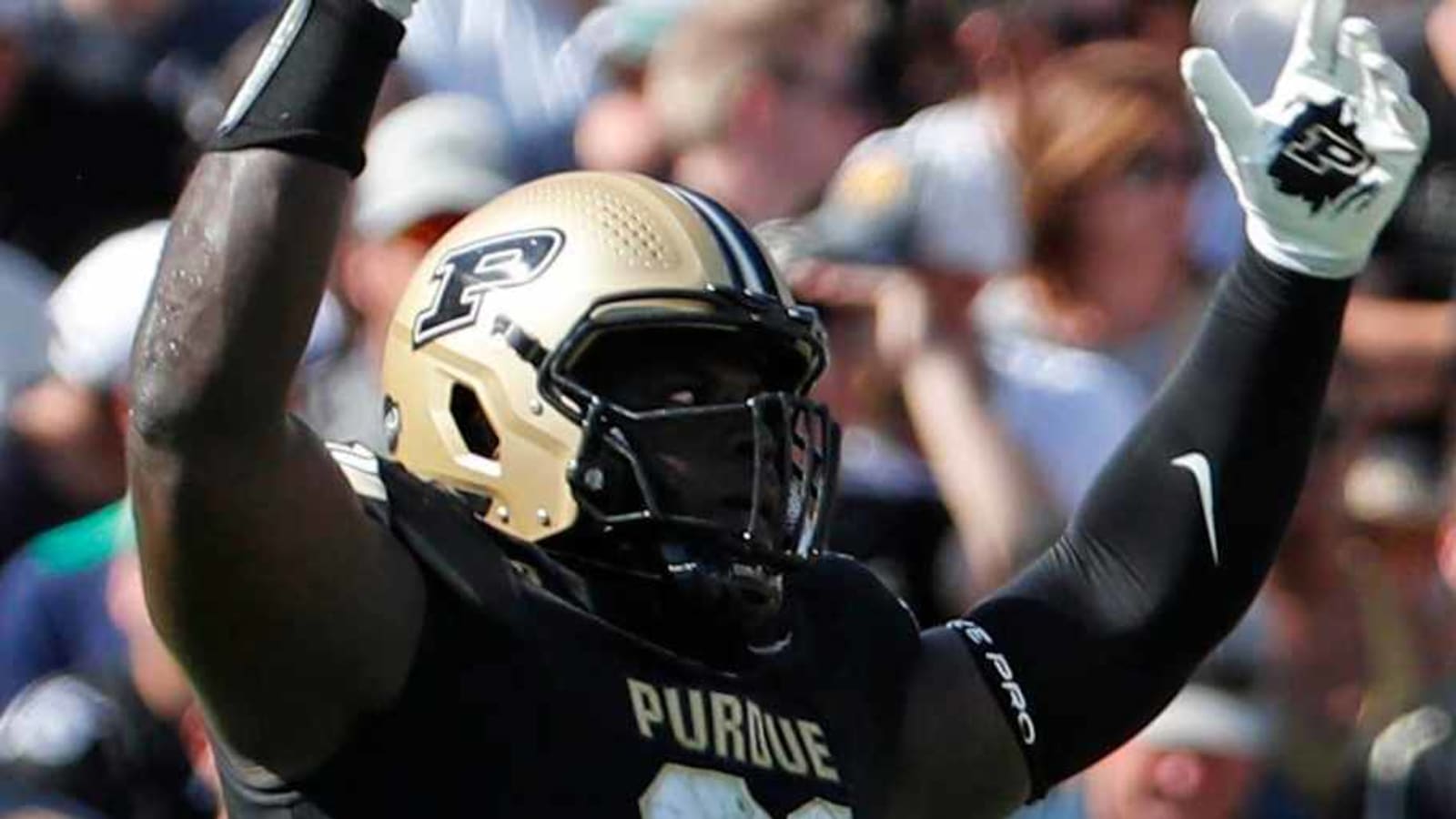Texas Longhorns Officially Sign Purdue Boilermakers Transfer