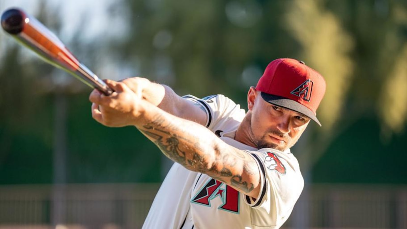 Arizona Diamondbacks 2024 Player Review: Jace Peterson