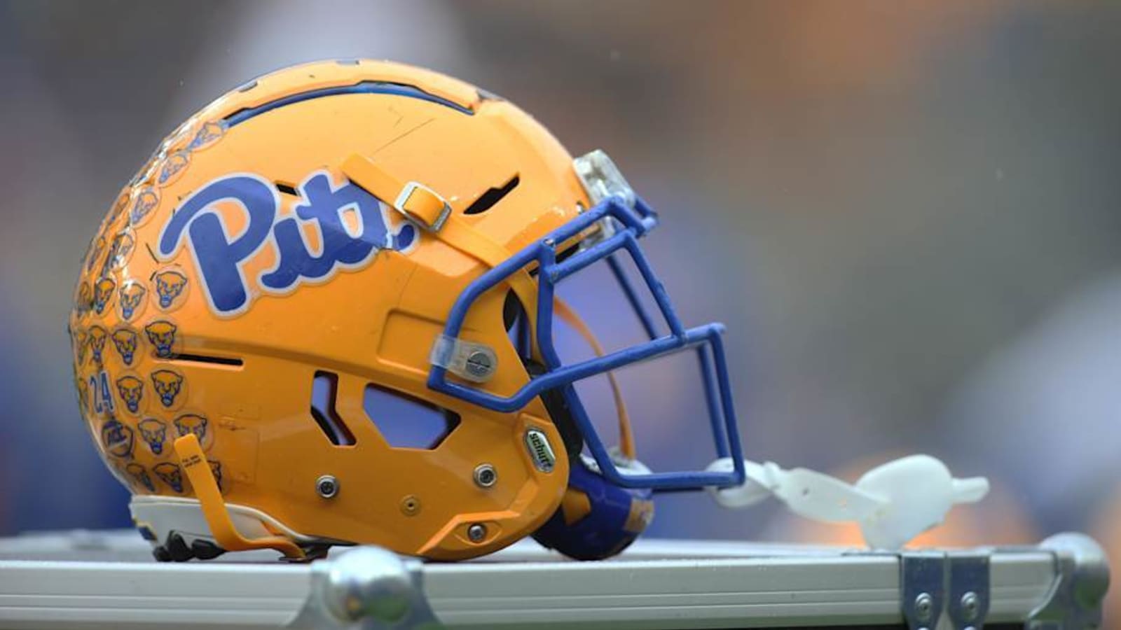 Watch: Newcomers Making Plays in Pitt Scrimmage