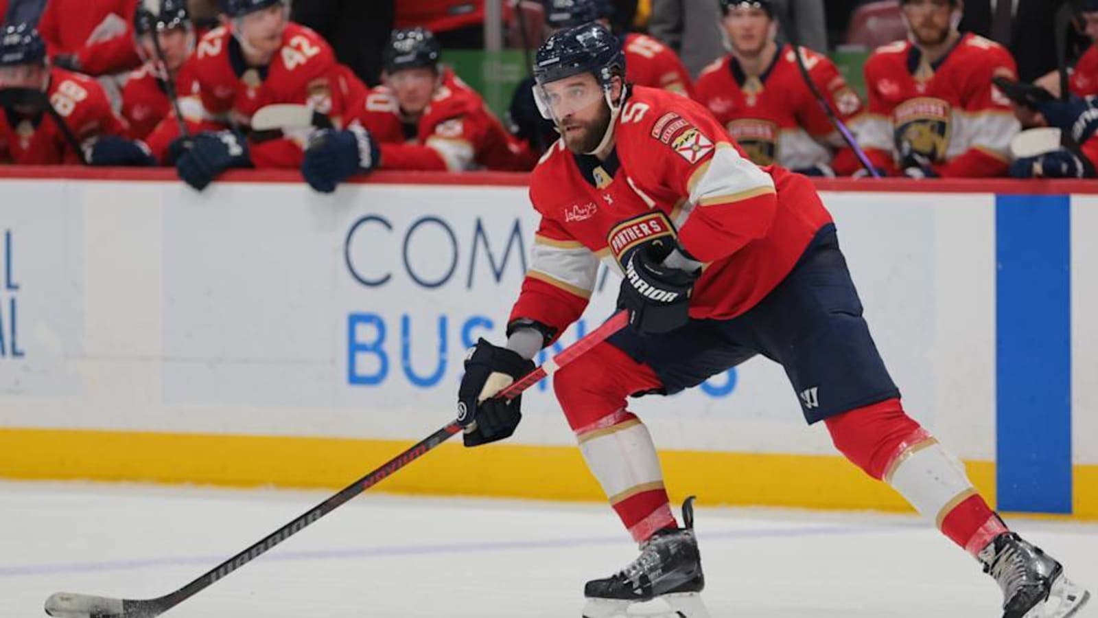 Panthers Defenseman Suspended For Performance Enhancing Drugs