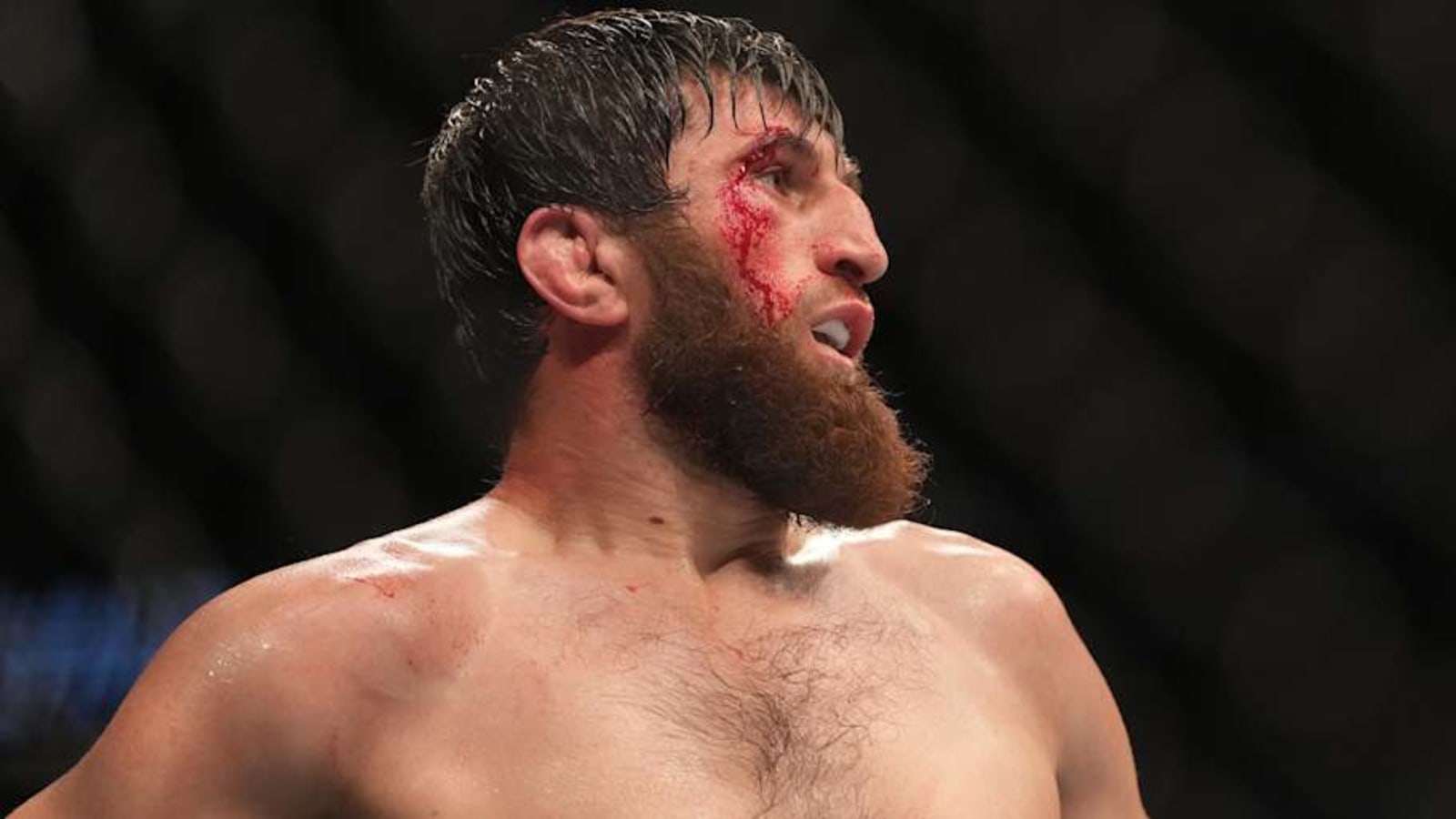 Magomed Ankalaev addresses possibility of Alex Pereira rematch after UFC 313