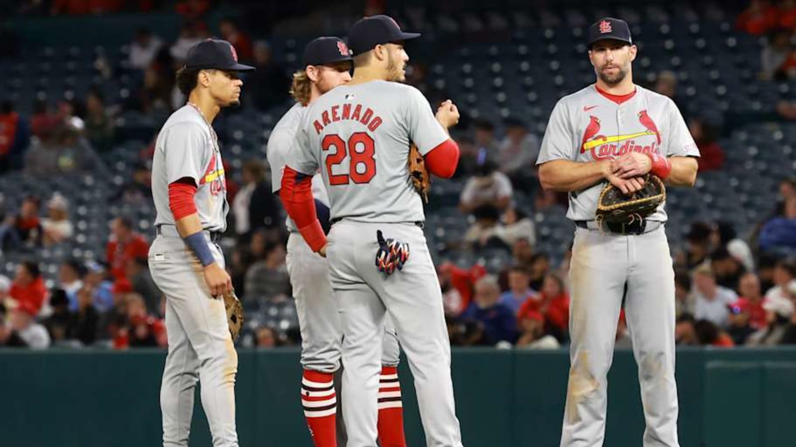 Cardinals Fan Favorite Will Be &#39;Very Surprised&#39; If Phenom Doesn&#39;t Win Gold Glove