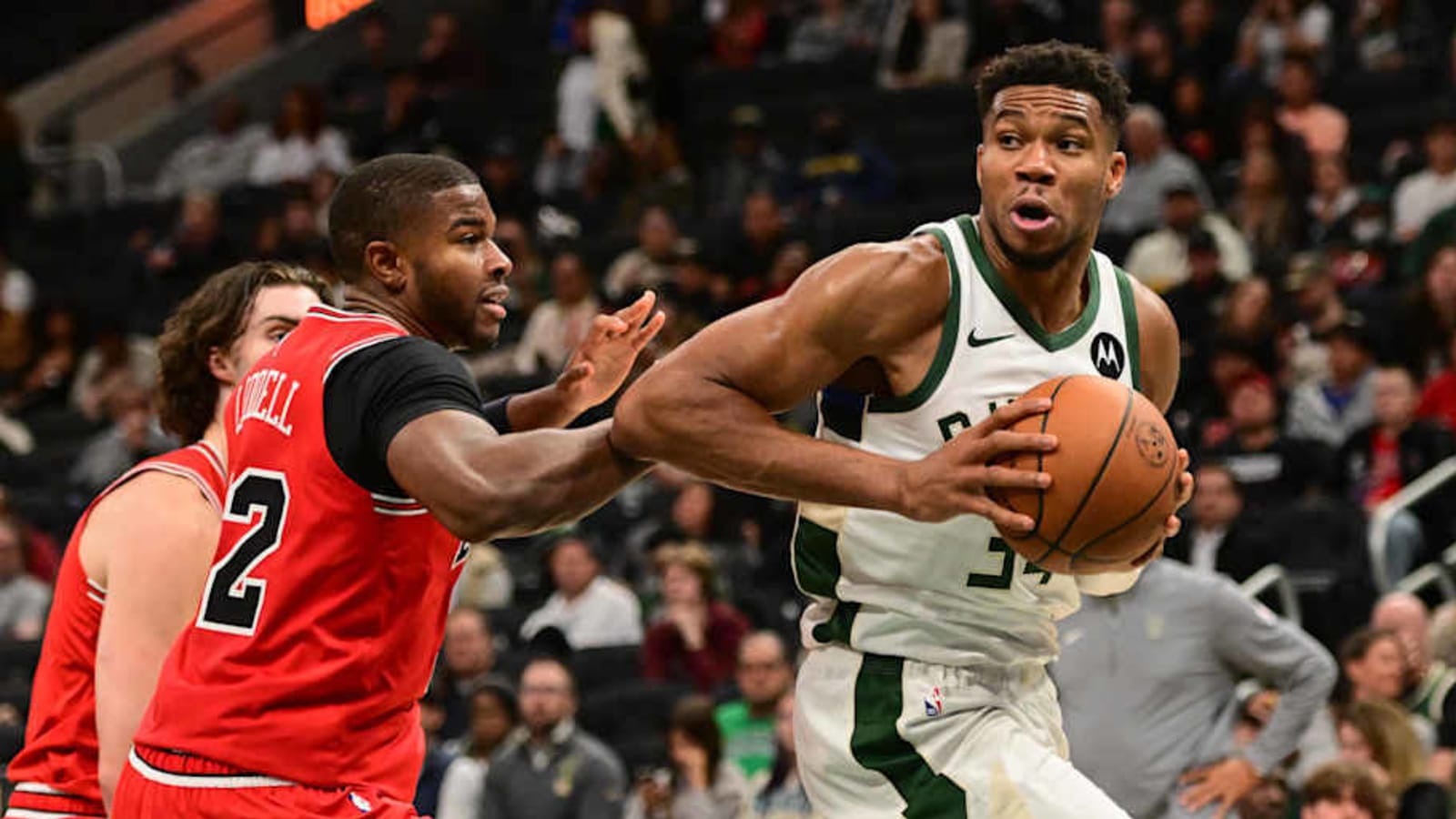 New Chicago Bulls Player&#39;s Sincere Reaction to Joining Team