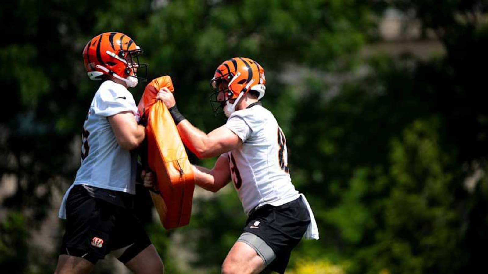Bengals Elevate Two Players From Practice Squad Ahead of Thursday Night Showdown vs Ravens