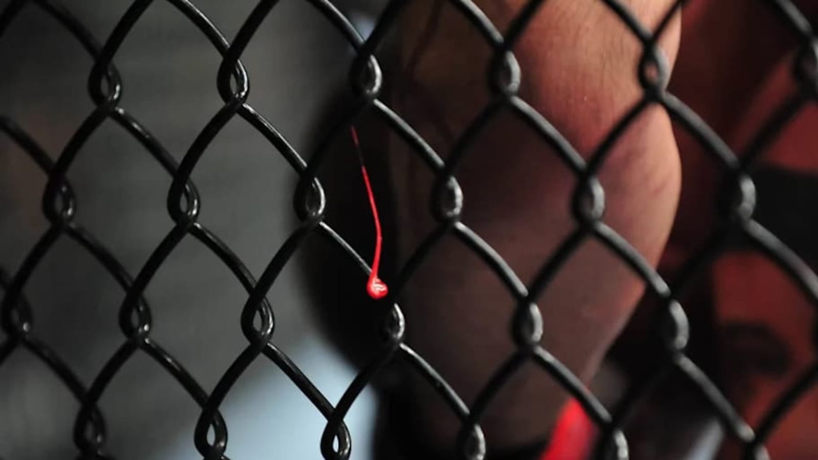 UFC world reacts to former heavyweight champion sentenced to 5 years in prison