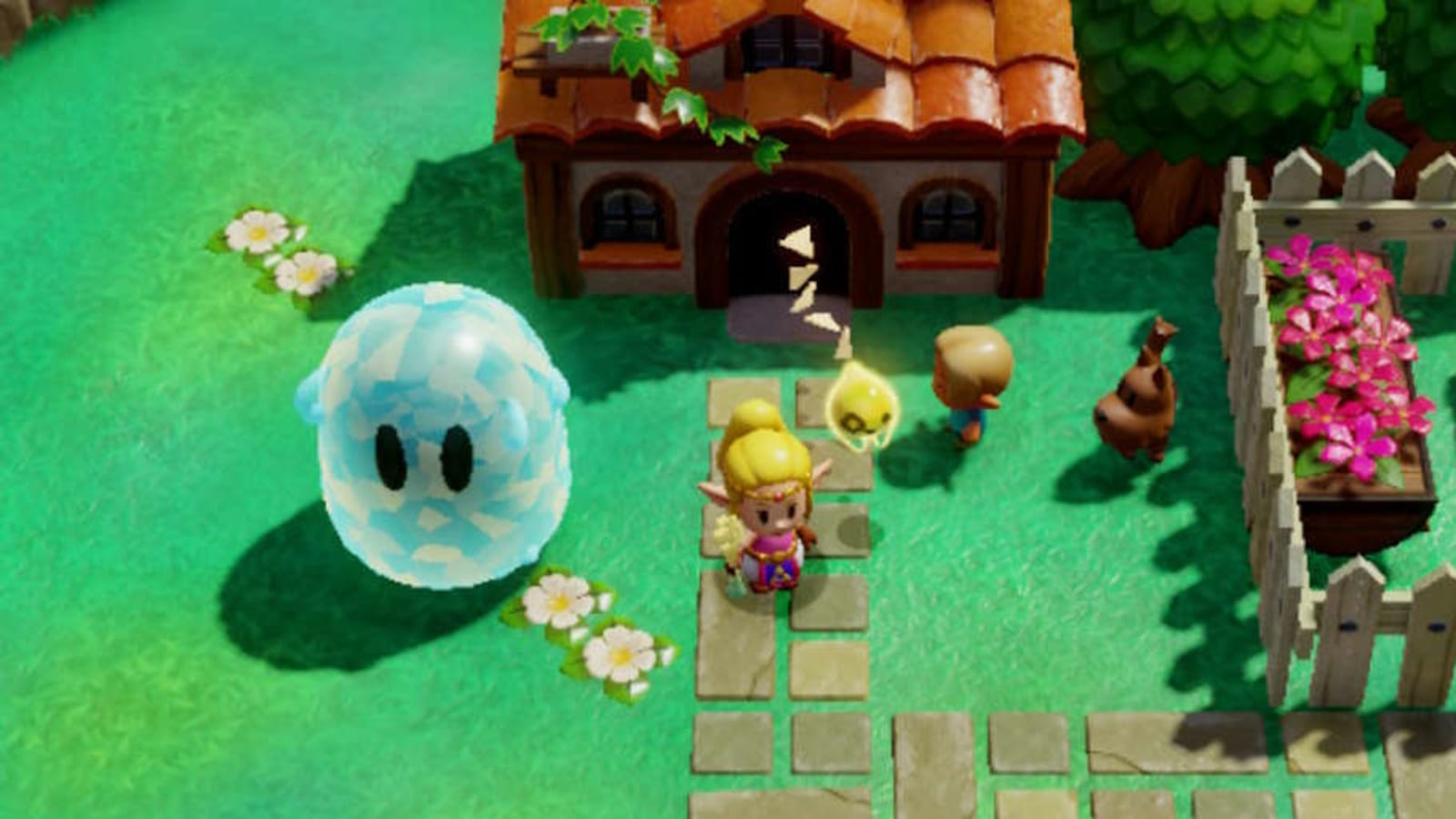 Zelda Echoes of Wisdom: How to get a large Hydrozol