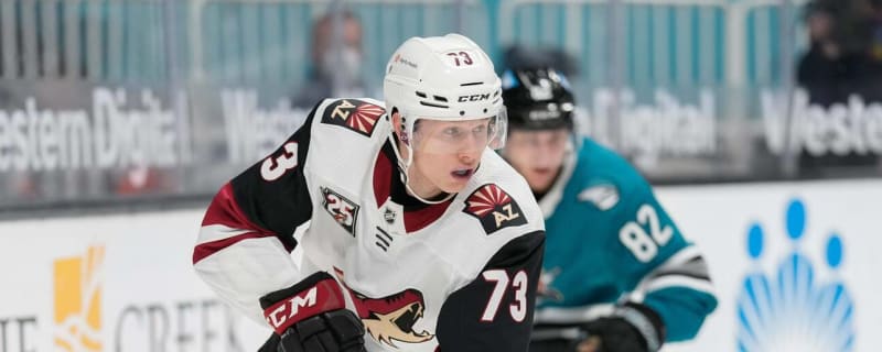 Coyotes reassign forward Jan Jenik