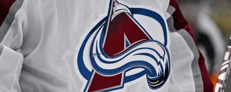Avalanche bring in Central Registry exec as assistant GM