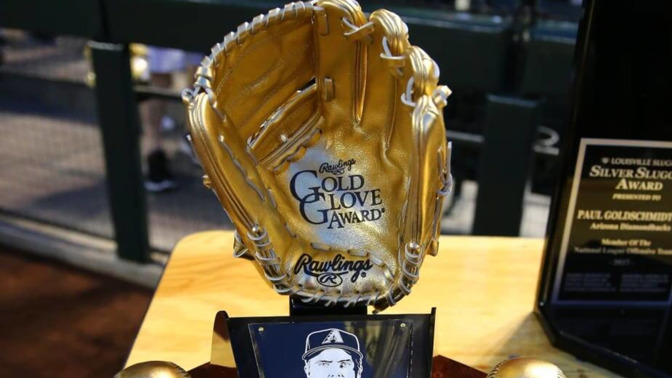 The Rawlings Gold Glove Awards