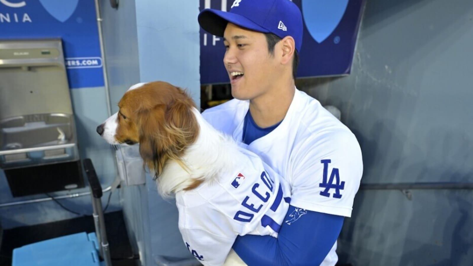 Shohei Ohtani Releasing Children’s Book: ‘Decoy Saves Opening Day’