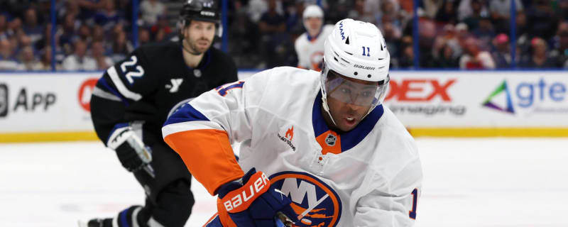Islanders’ Anthony Duclair takes a leave of absence
