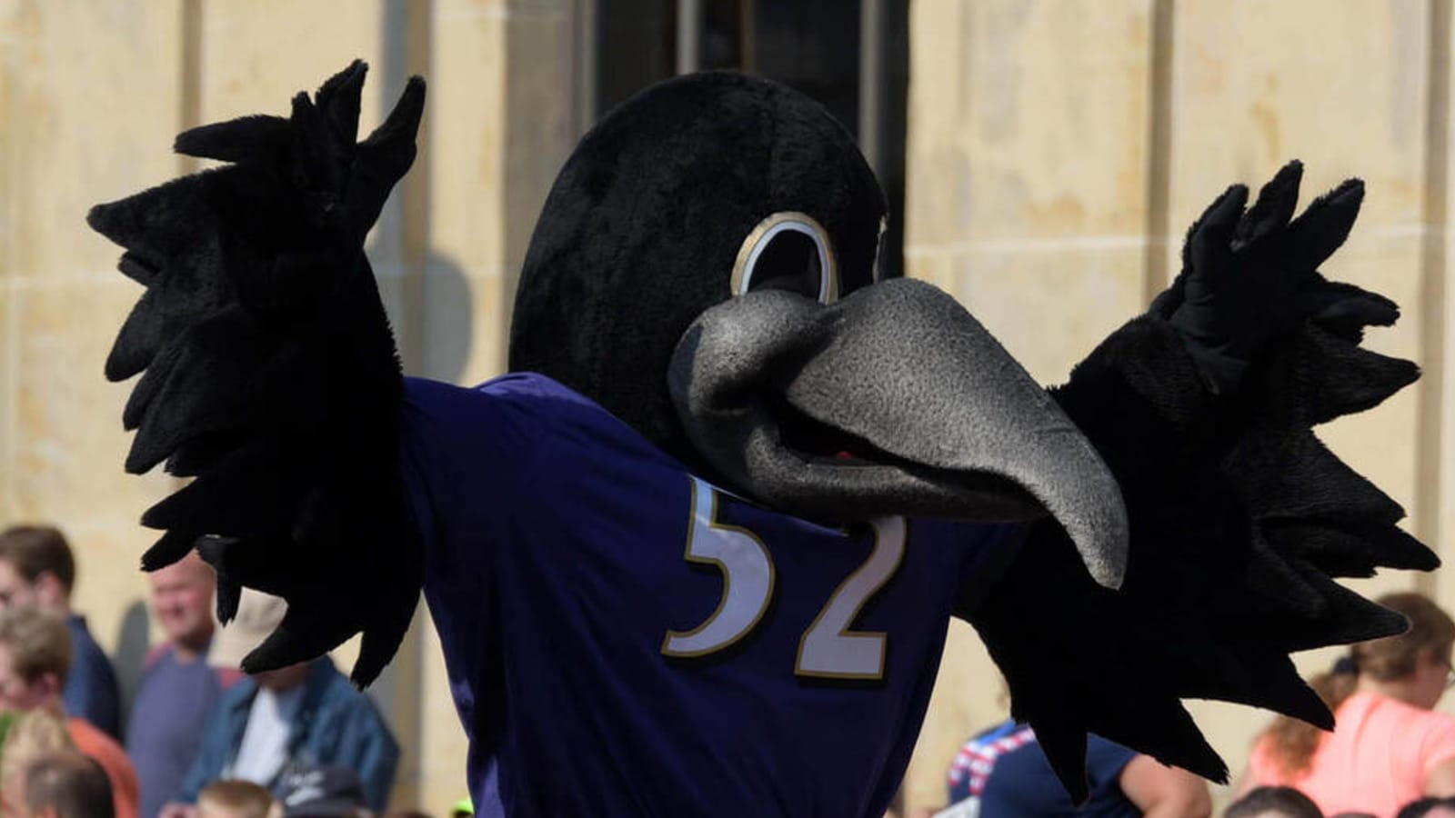 Ravens mascot, Poe, seems to suffer torn ACL at halftime of preseason game