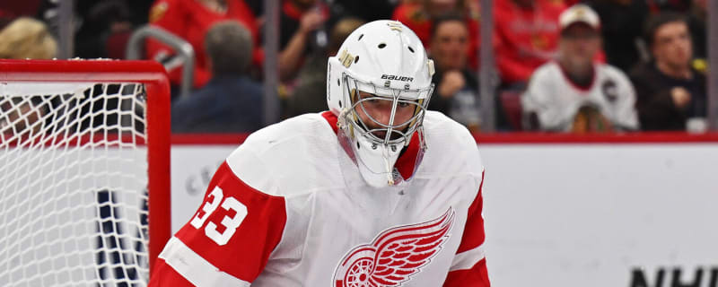 Red Wings recall former first-round pick on emergency basis
