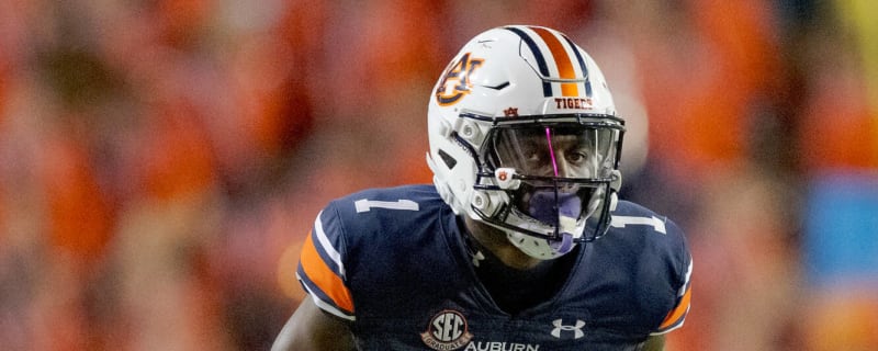 2024 NFL Draft Scouting Report: Nehemiah Pritchett