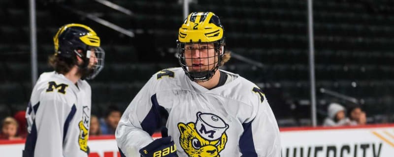 Bruins, Wild among top suitors for former first-rounder