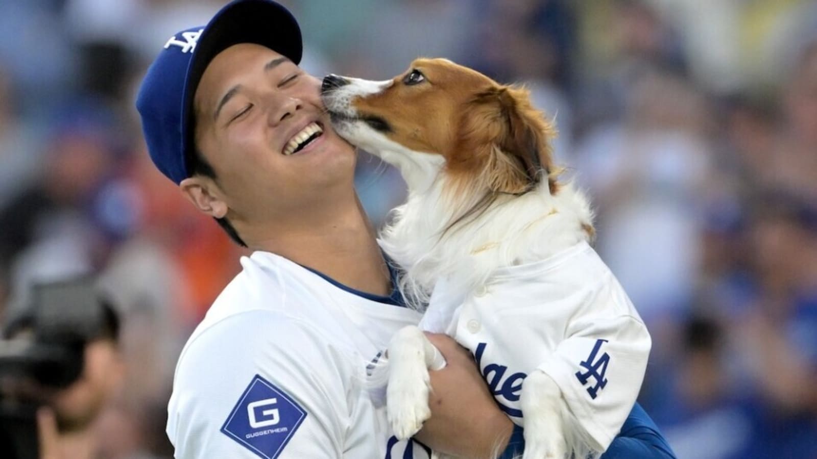  Decoy Wins ‘Most Valuable Dog’ Award