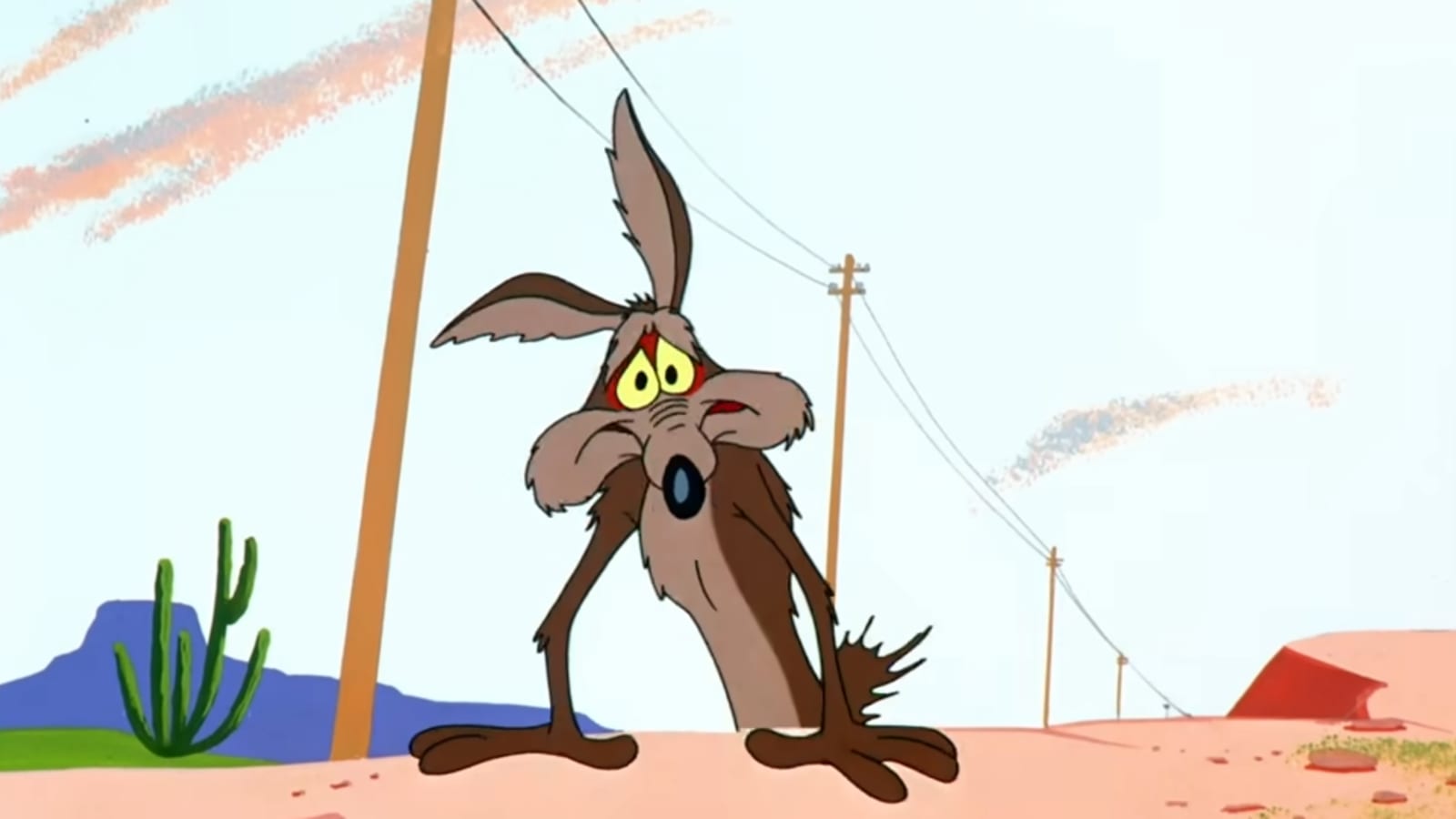 "Coyote vs. Acme" will finally get released (just not by Warner Bros.)