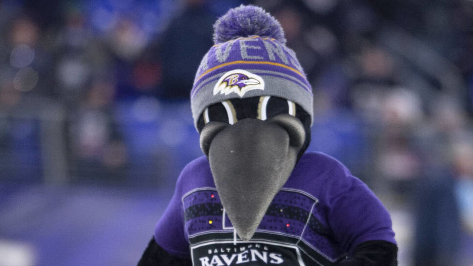 Watch: Ravens' mascot carted off after suffering leg injury during youth halftime game