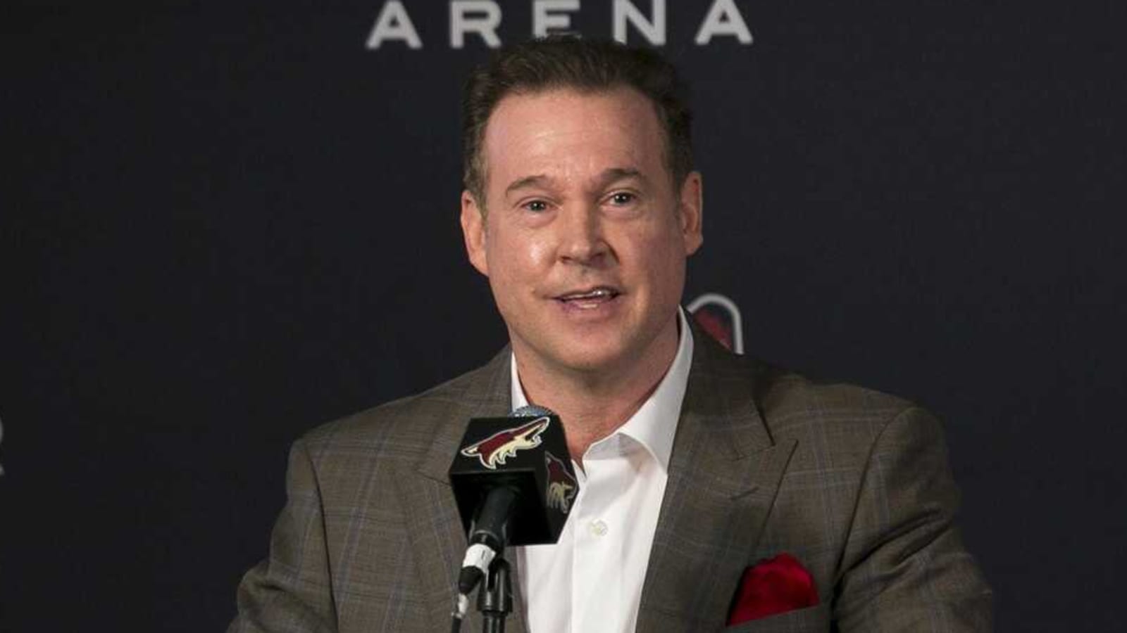 Alex Meruelo hits major setback in quest to build Coyotes new arena