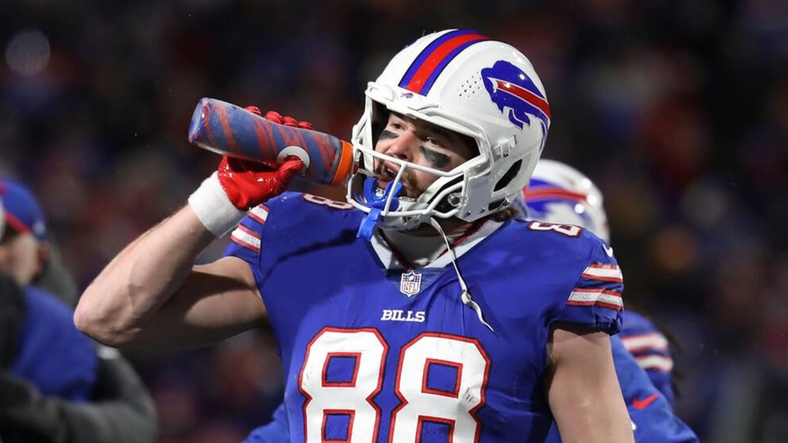 State Of The Bills Roster: Tight End