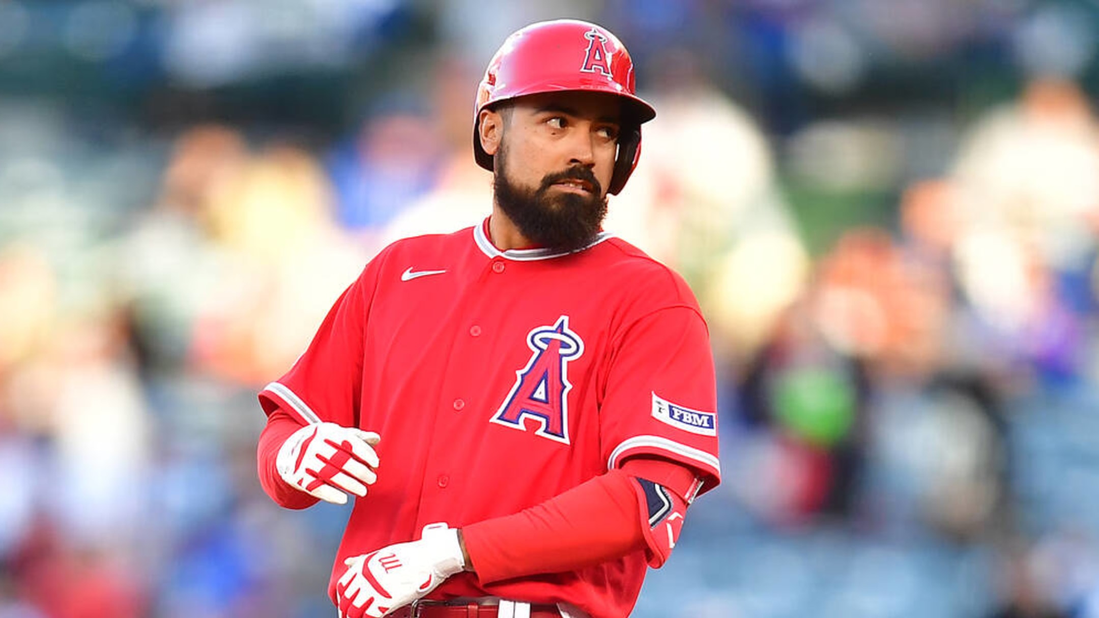 Los Angeles Angels of Anaheim Cactus League spring training